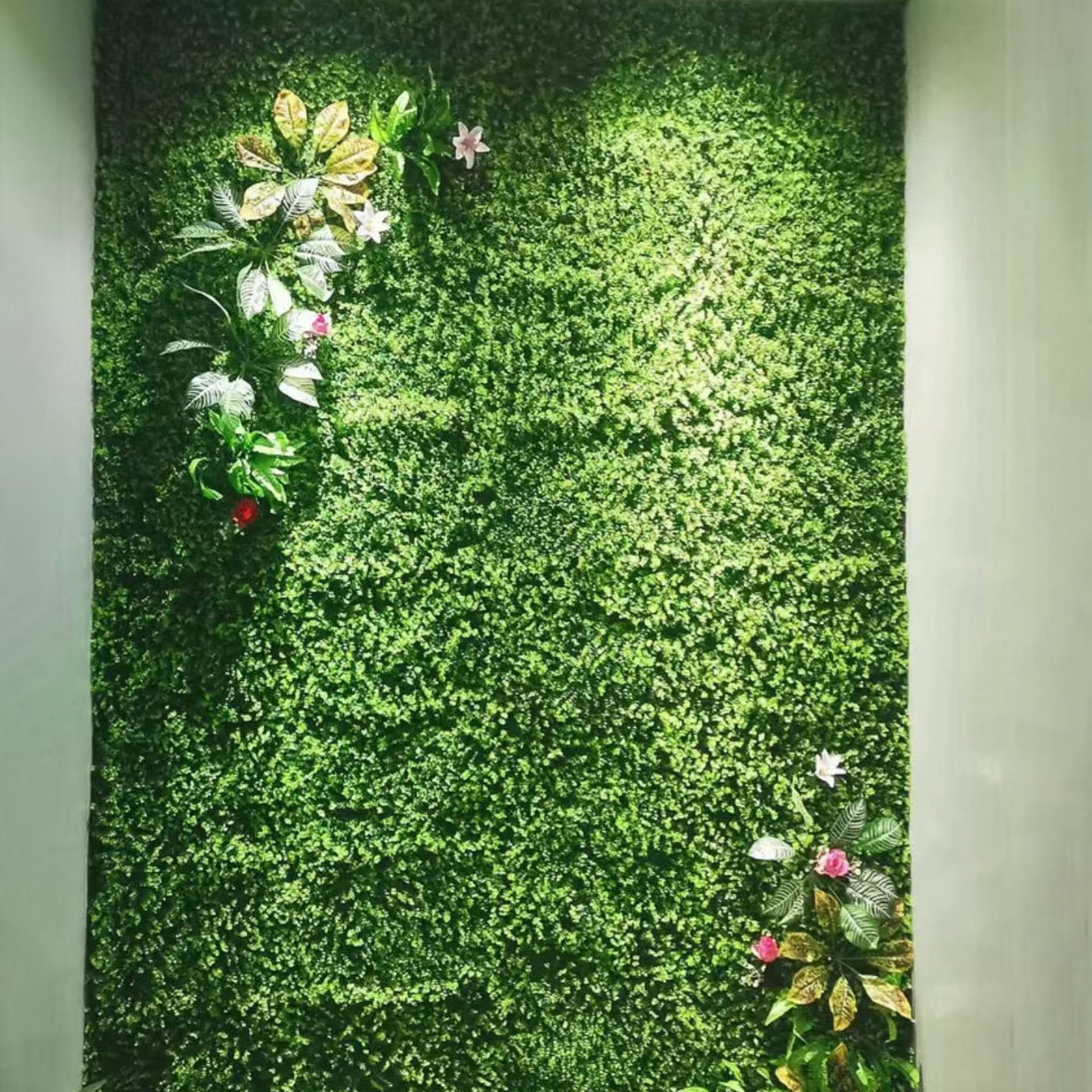 L'herbe verte produit un parfum par mètre carré