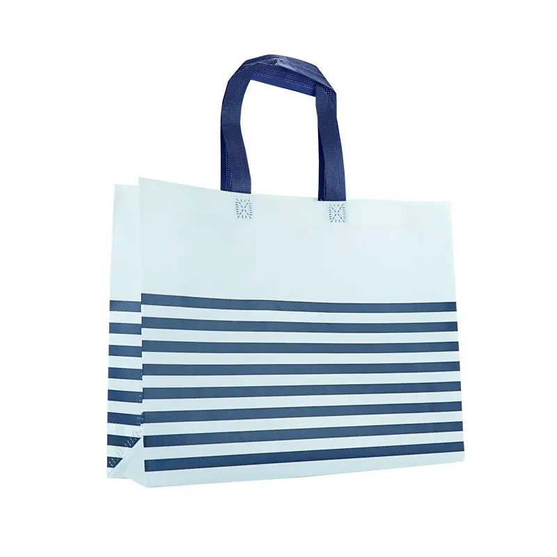 Nouvelle arrivée Pp réutilisable Shopping Bopp Zip Tote avec poche zippée Sac non tissé laminé