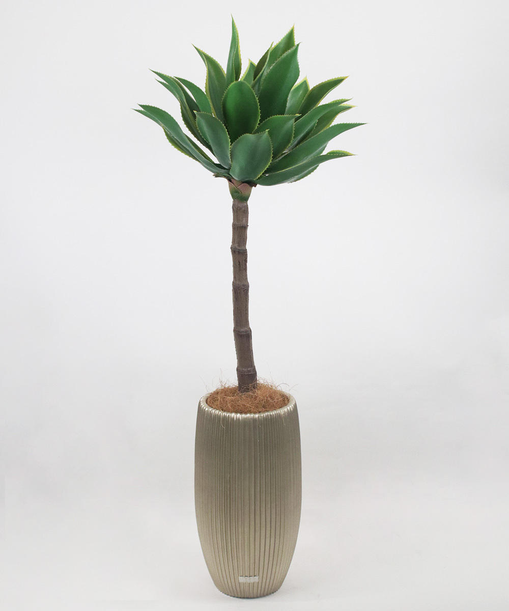 Vol.7สีเขียวดีไซน์เทียม