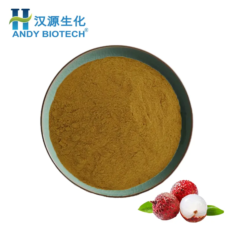 Factory supply Low PAHs 40% Polyphenols Lychee litchi chinensis Fruit Extract Powder