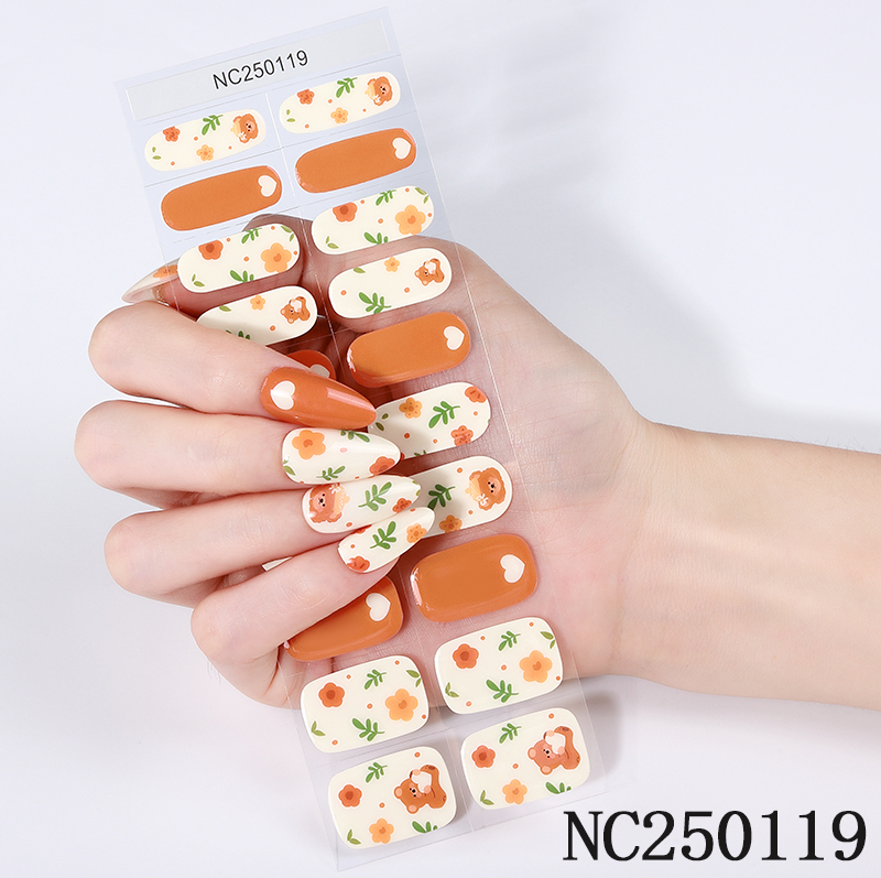 NC250119