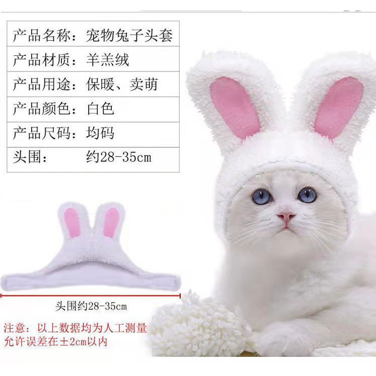 Chapeau de lapin blanc