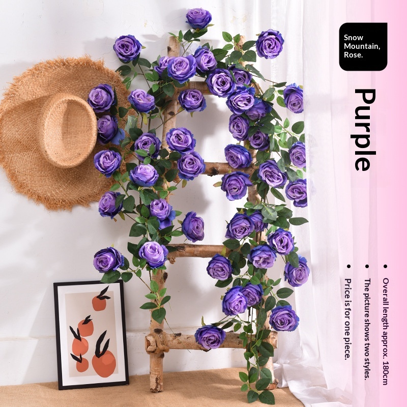 Pourpre