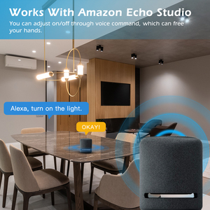 Умный модуль выключателя света ZigBee, не требует нейтрального провода, голосовое управление Alexa и функция таймера - Product Image 5