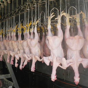 青島Raniche肉屋の機器を殺している鶏の食肉処理場の鶏を始める方法 - Product Image 3