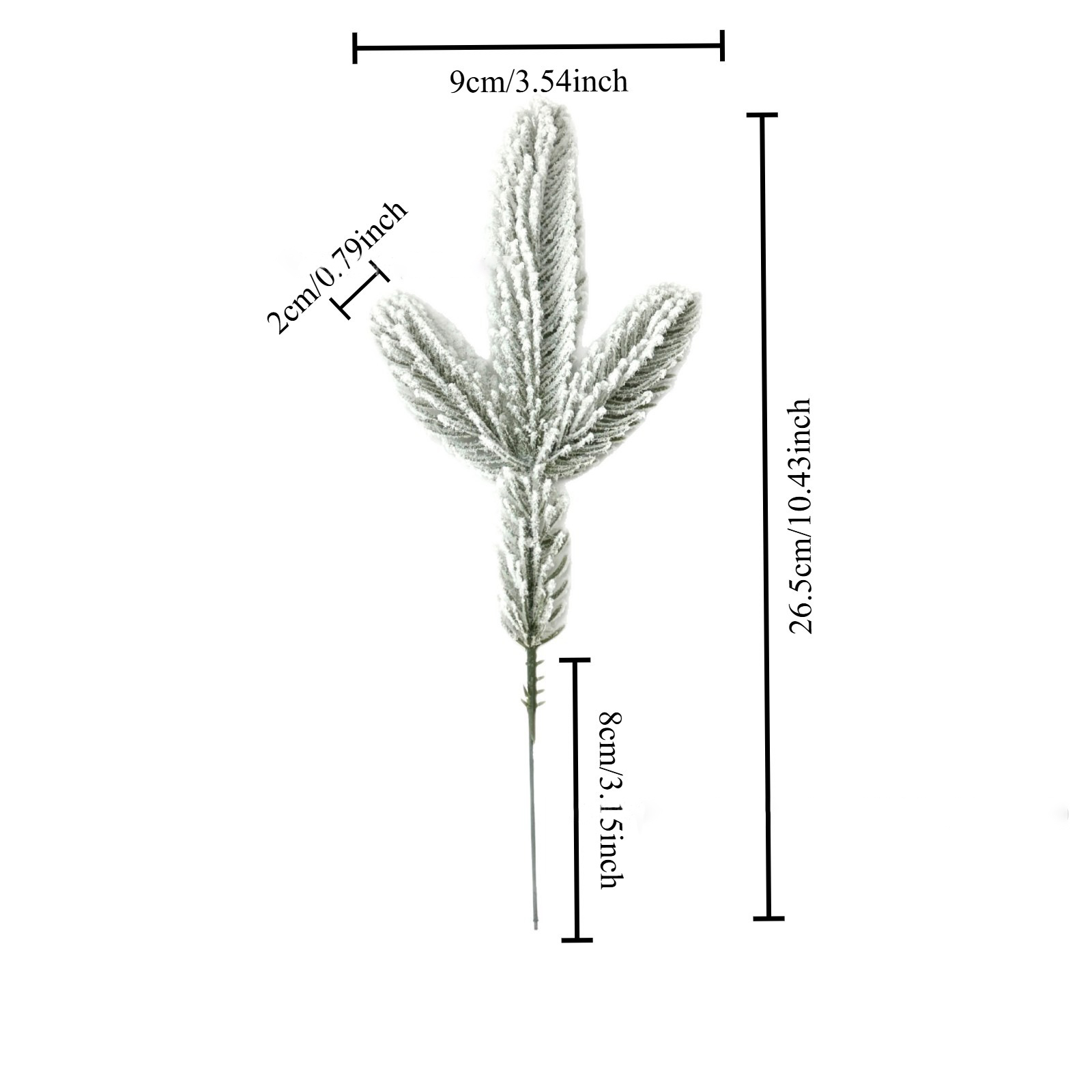 26.5cm