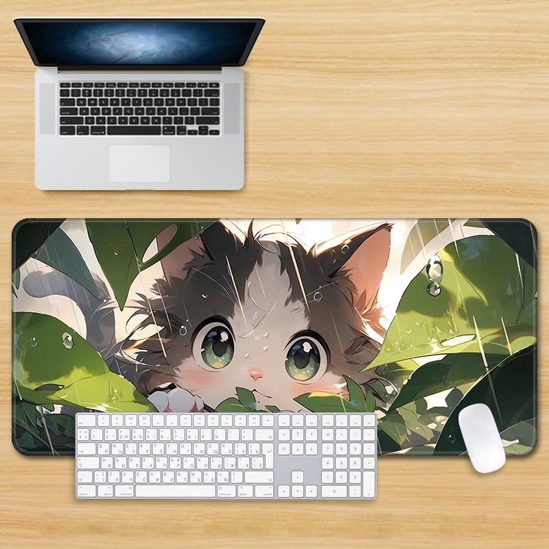 chaton 88614
