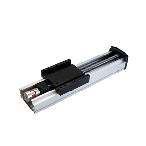Double <strong>Linear</strong> Guide Ball <strong>Screw</strong> <strong>Driven</strong> <strong>Sliding</strong> Table Heavy Duty Dustproof Module - Product Image 3