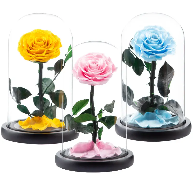 Venta al por mayor de fábrica, regalo, Rosa eterna, caja de lujo, rosas para siempre, flor de Rosa preservada en cúpula de cristal