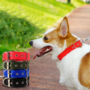 LT Sport Harnais réglable pour animaux de compagnie Collier/laisse imperméable à haute élasticité Couleur solide Finition mate givrée Résistance à l'abrasion - Product Image 6