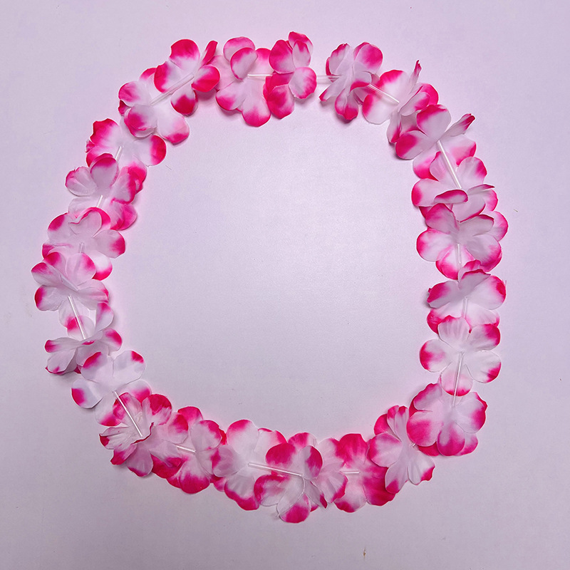 rose dégradé