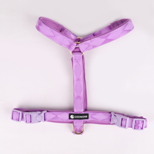 <strong>Customized</strong> Lightweight Dog Harness Set Y-<strong>Shape</strong> Logo Soft Padded Reflective Adjustable for Running Walking Personalized Dog