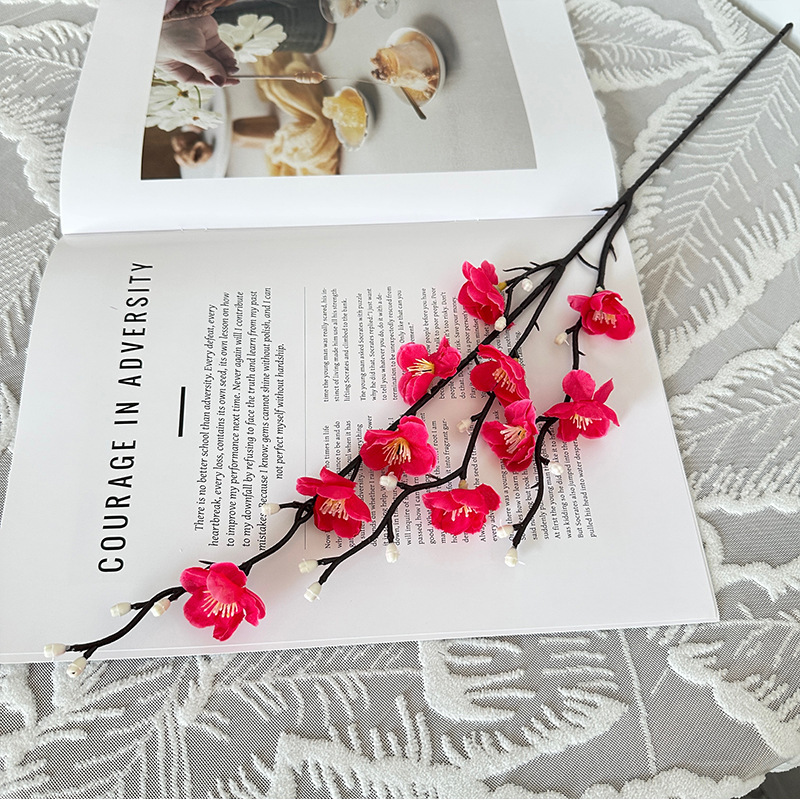 Mini Wintersweet, Rose Rouge