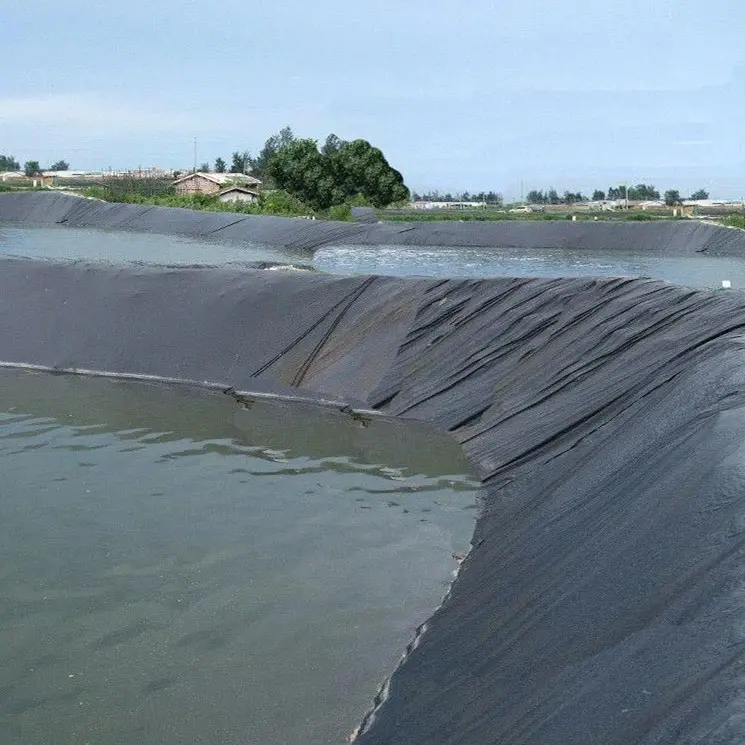 HDPE di pesce impermeabile farm gamberetti stagno fodera geomembrane materiali agricoltura