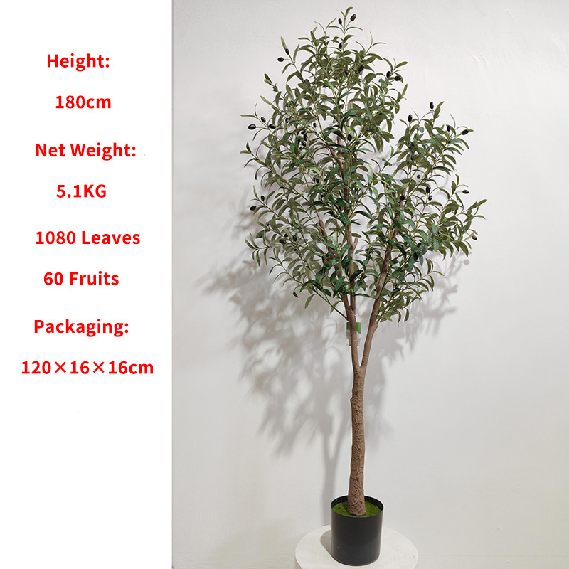 Olivier 180 cm (détachable)