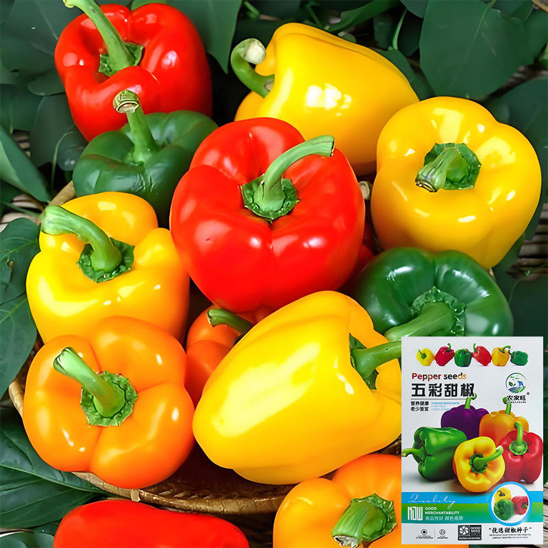 1# พริกหลากสี