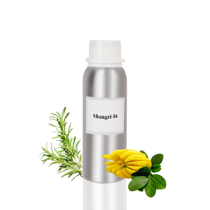 Difüzörler için 200ML 500ML 5L otel marka koku yağı susuz uçucu yağ için hava difüzörü - Product Image 3
