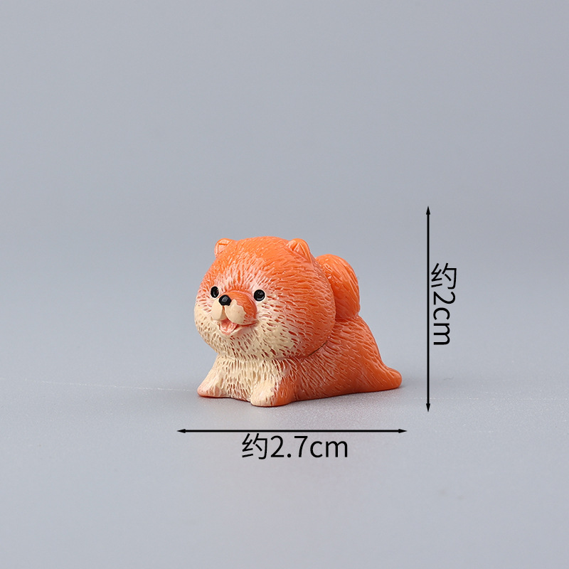 Shiba Inu de couleur unie, orange