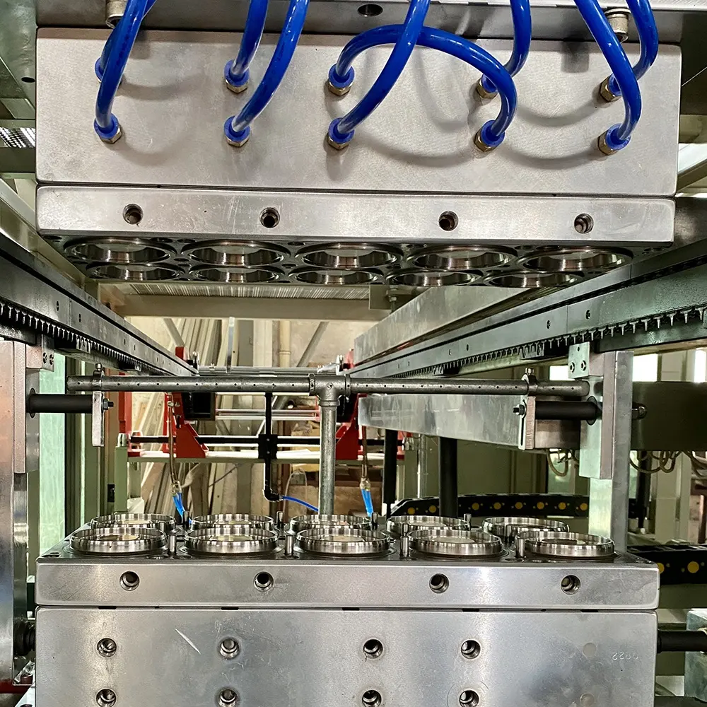 Macchine per la produzione di scatole da asporto per tazze in plastica completamente automatiche con certificazione CE e ISO