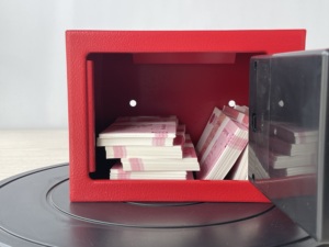 Fabrika doğrudan Mini dijital kasa 3kgs akıllı anti-hırsızlık güvenlik güvenli ile şifreli kilit anahtarlı kasa kasa - Product Image 4