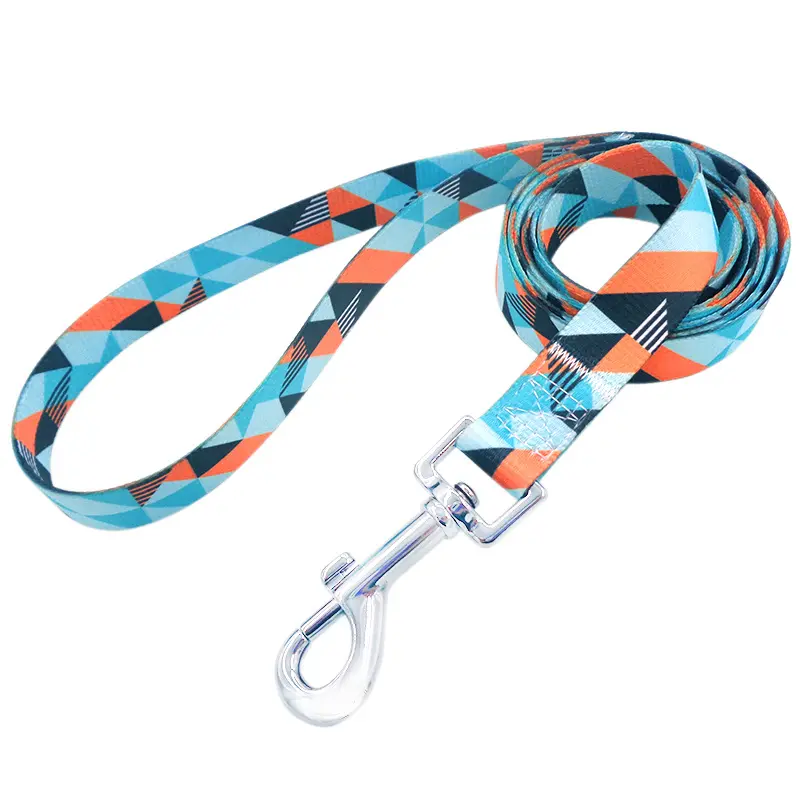 Wholesale Durable Printed Comfortable  Adjustable Multi-colors nylon dog lead leash