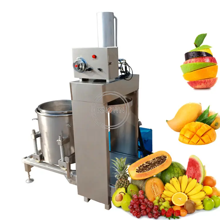 OEM Commercial Hydraulic Fruit Vegetable Cold Filter Press Juice Machine Stainless Steel 50L Mulberry Mango Juicer Extractor