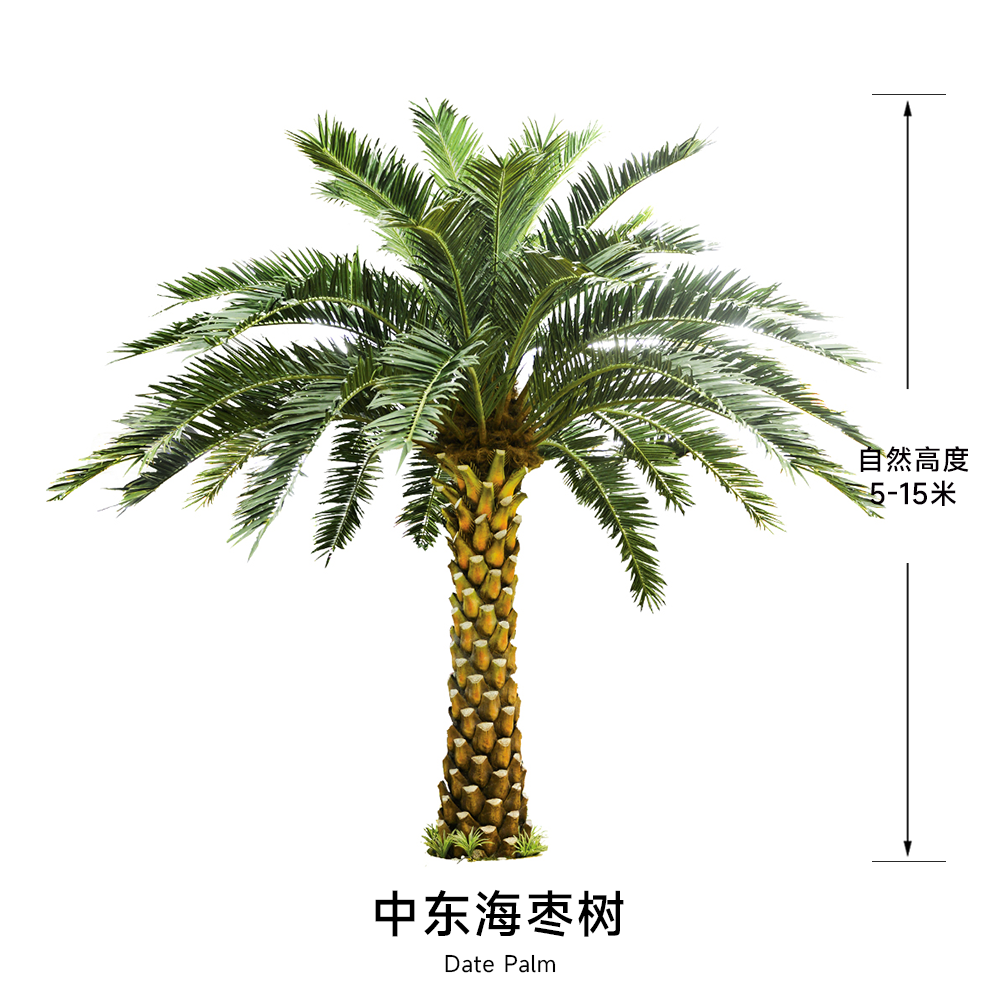 Dattier artificiel du Moyen-Orient