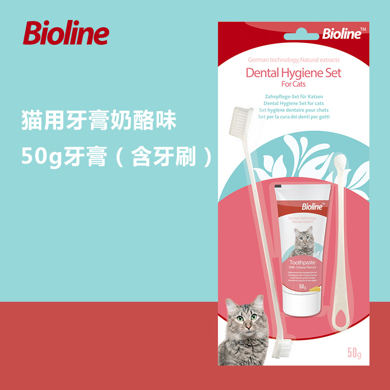 Set Brosse à Dents Chat 50g-Saveur Fromage