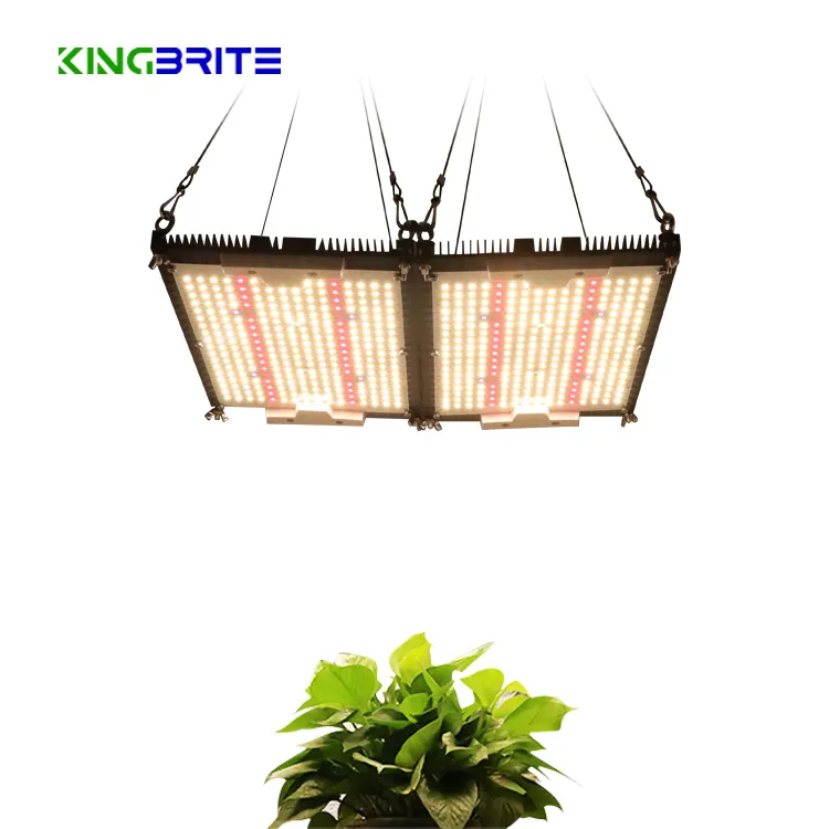 King brite 240w lm301h uv ir rot 660 LED-Pflanze wachsen Licht mit separatem Kühlkörper für Innen zelt 2*2 ft