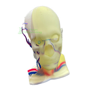 Индивидуальная медицинская модель, быстрое прототипирование, 3D-чертежная плита, полимерная Лазерная сканирующая микромеханическая обработка, прототип, печатная модель - Product Image 2