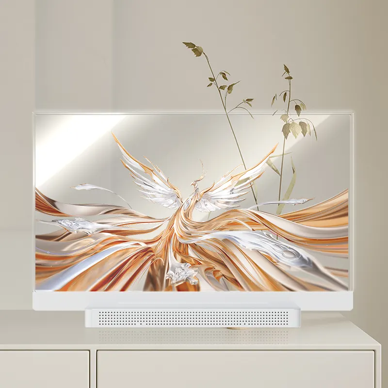 55-inch OLED transparent screen floor standing digital signage advertising media player information equipment