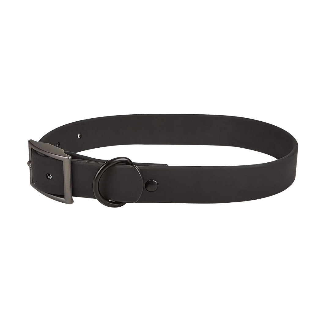 Cuello negro