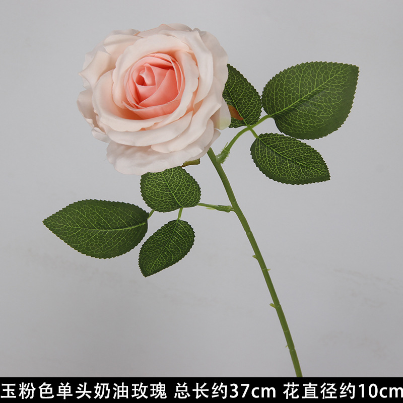 Rose crème à une tête rose jade