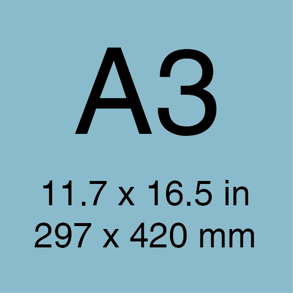 A3 Taille