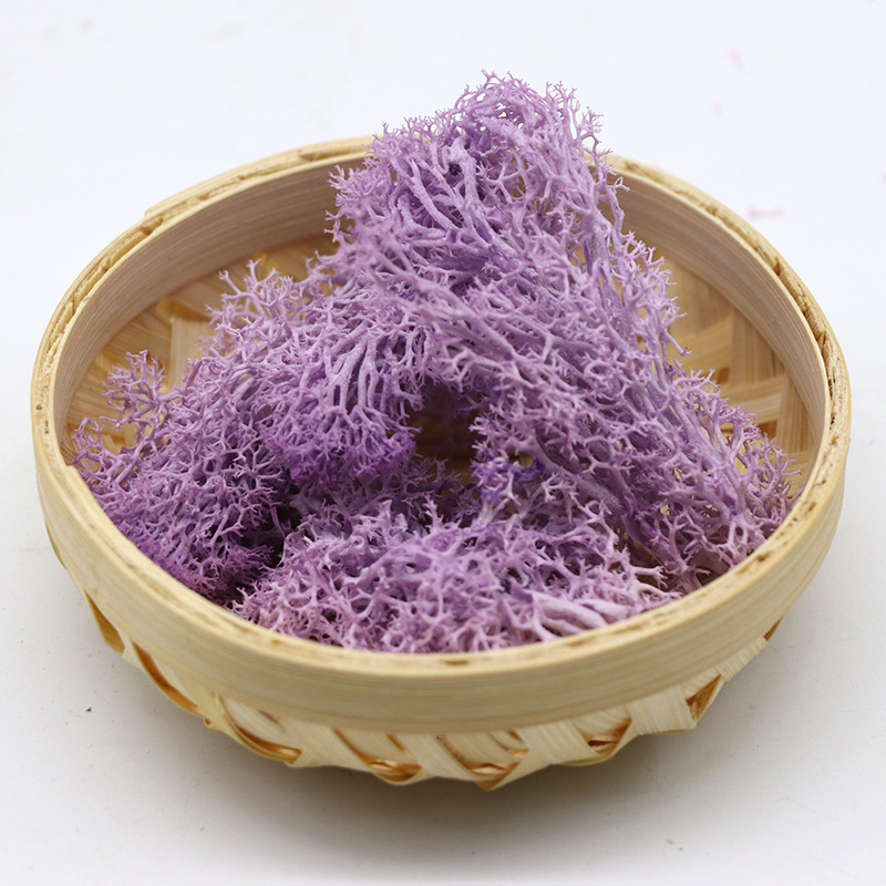 Pourpre