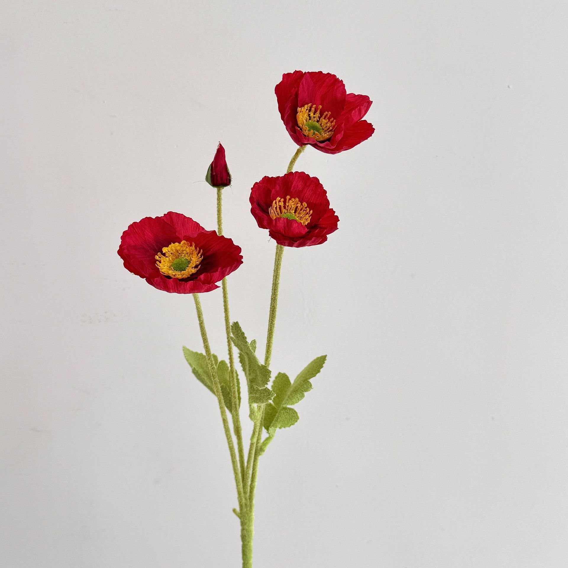 Rosso brillante