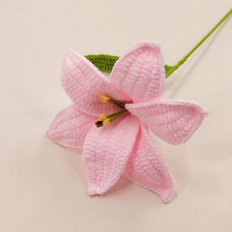 lily pink