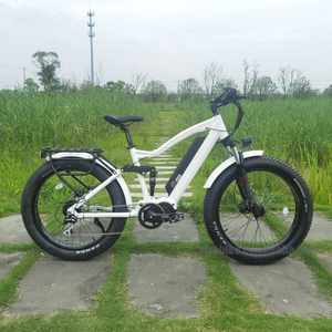 最受欢迎的山地<span class=keywords><strong>Ebike</strong></span>脂肪轮胎八方中置电机1000瓦快速电动自行车