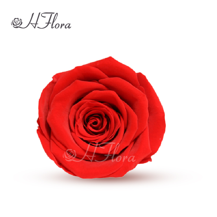 Bright Red