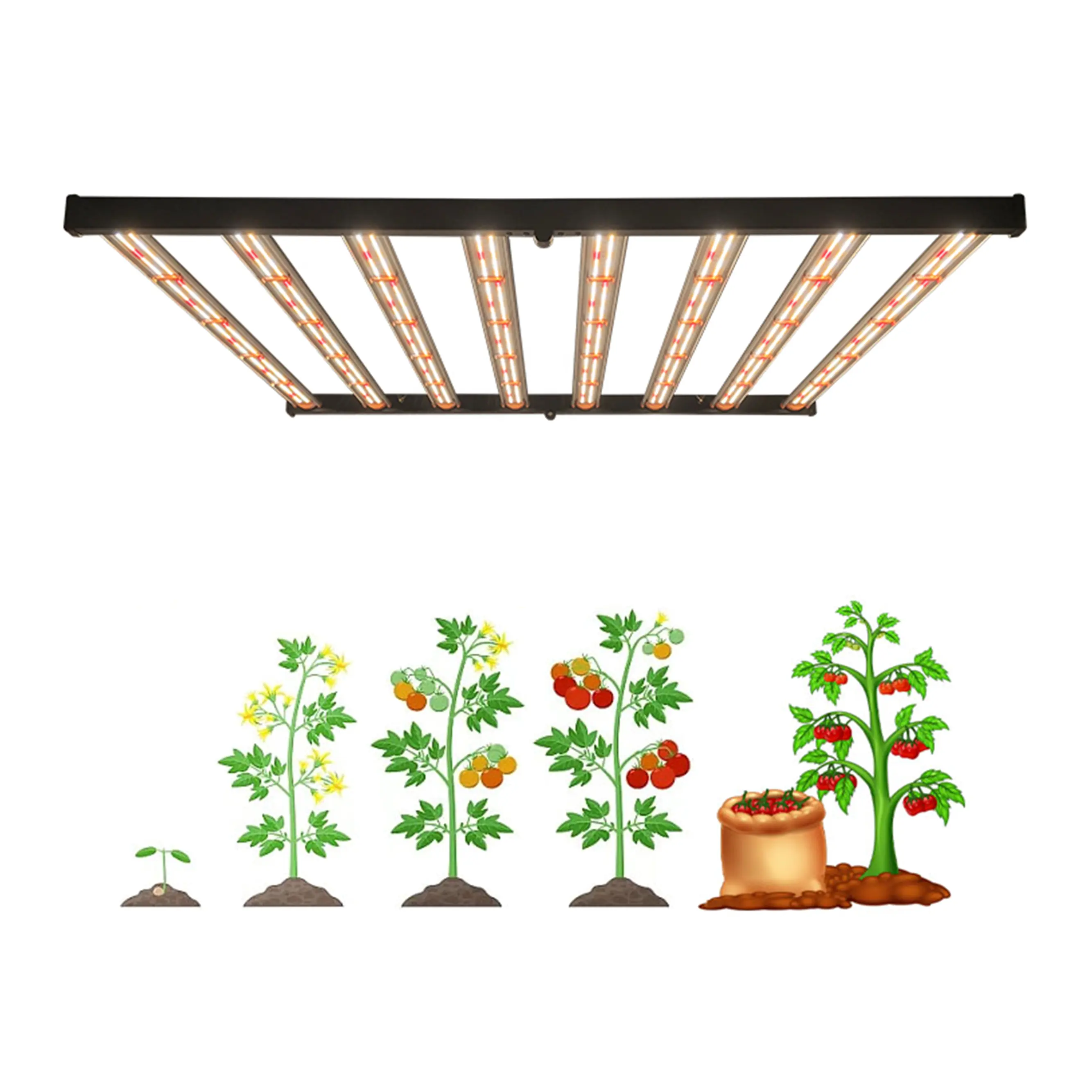 ขายส่ง 800W Samsung LM301b สูง PPFD LED เติบโตแสงเต็มสเปกตรัม UV IR สําหรับพืชสวนในร่ม 4*4ft 8bar ผักดอกไม้พืช