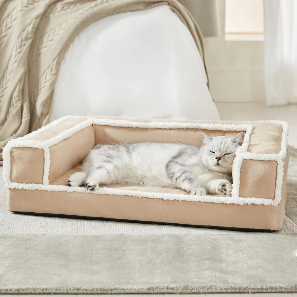 แอปริคอท