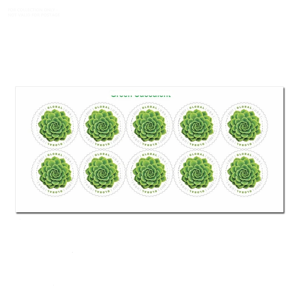 Succulente verte mondiale blanche Y94 2017