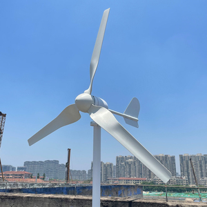 Fabrika doğrudan 1000w 24v 48v yatay eksen rüzgar türbini 3 bıçaklı rüzgar jeneratörü ev için fırıldak düşük başlangıç rüzgar hızlı - Product Image 3