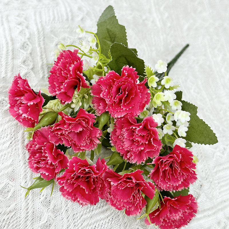 Rosa rossa
