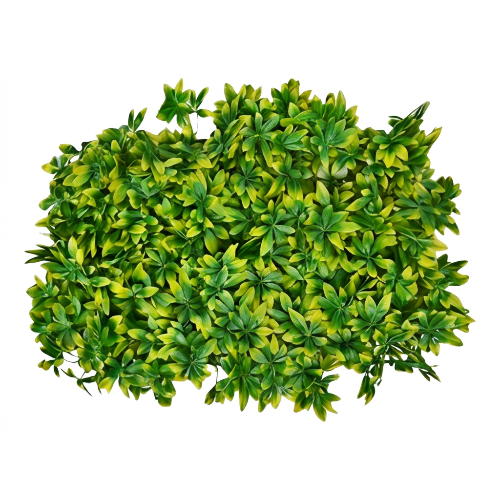 Vert