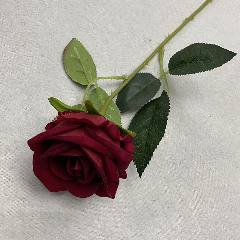 Rouge foncé 1