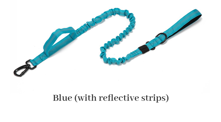 Blue leash