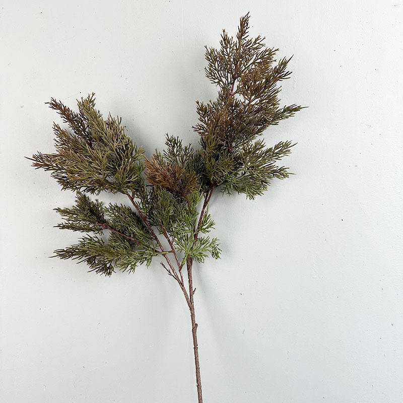 Sapin des neiges rouge