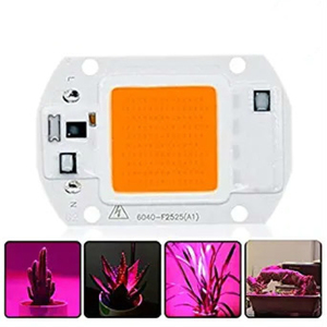 Dimmable LED COB Grow Lamp Chip 50W AC110V 220VAC <strong>Input</strong> Smart IC Driver Fit for DIY LED Grow Lighting <strong>Source</strong> - Product Image 4