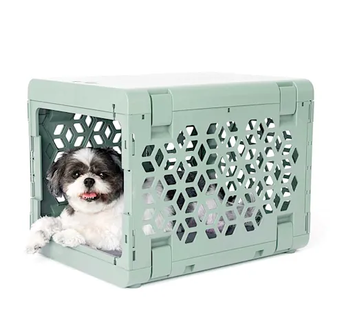Neuer Trend Sicherheit leicht grün Kunststoff Hundehütte modernes zusammenklappbares Hunde-Reisekarton für kleine Hunde